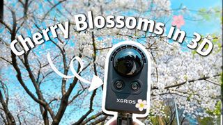 3D Reconstruction: Eternalizing Wuhan Cherry Blossoms in Digital Space#spatialcamera
